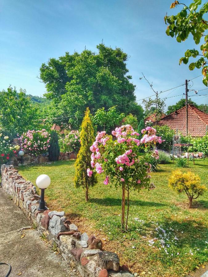 Knez Apartmani Senje Екстер'єр фото